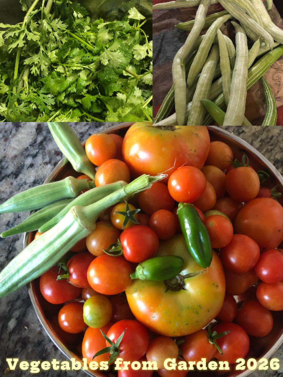Vegetables